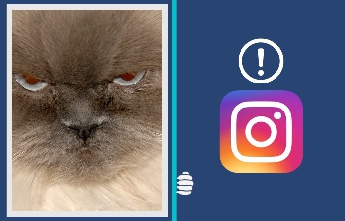 Instagram Logged Out Error: How to Fix (non-infographic)